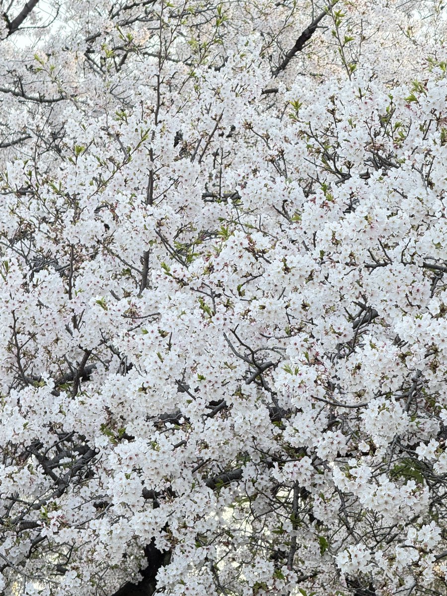 うに🧡 tweet media