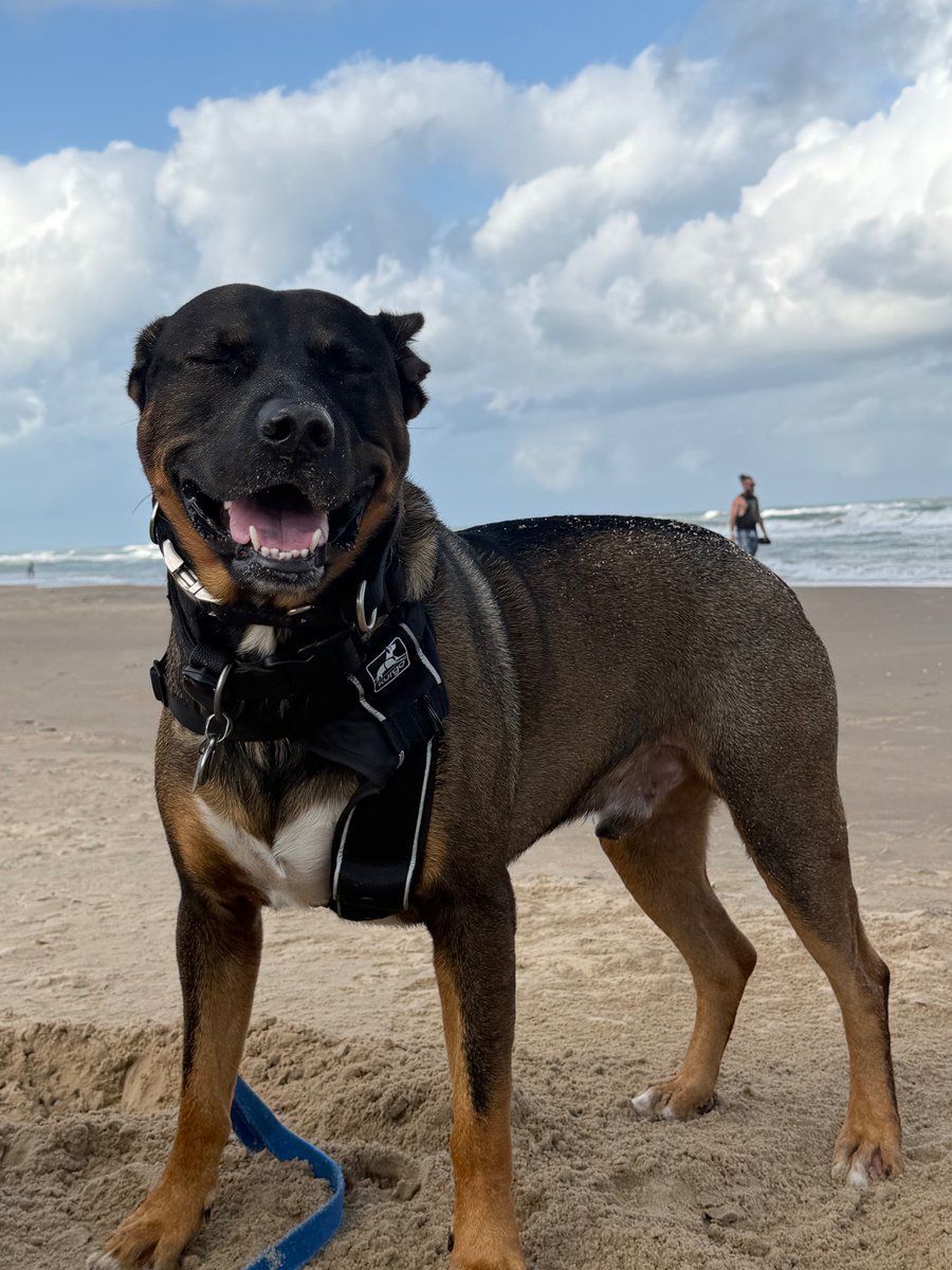 Brian Erb tweet media