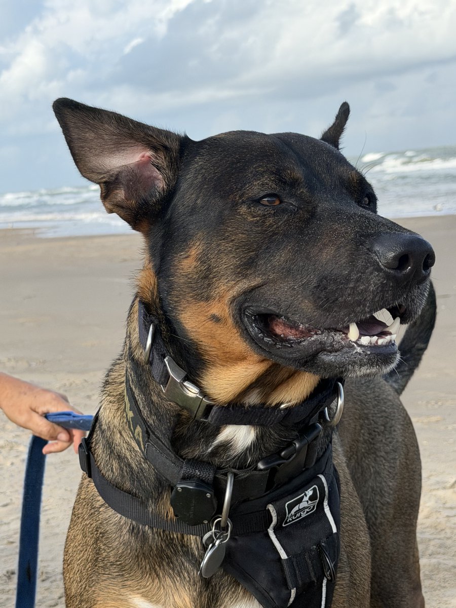 Brian Erb tweet media