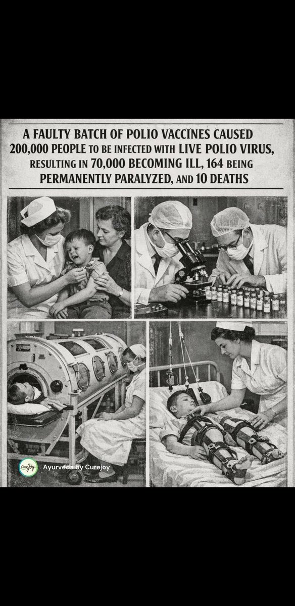 scoobydjj tweet media