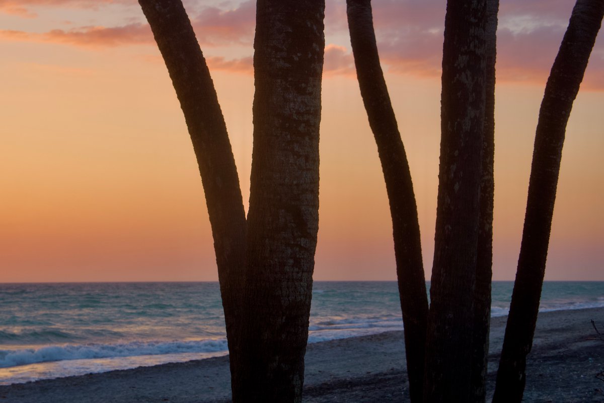 DeepGreens2's tweet image. Tropical Sorbetto...☺️🌺💕
#Sunset #BeachLife #Photography