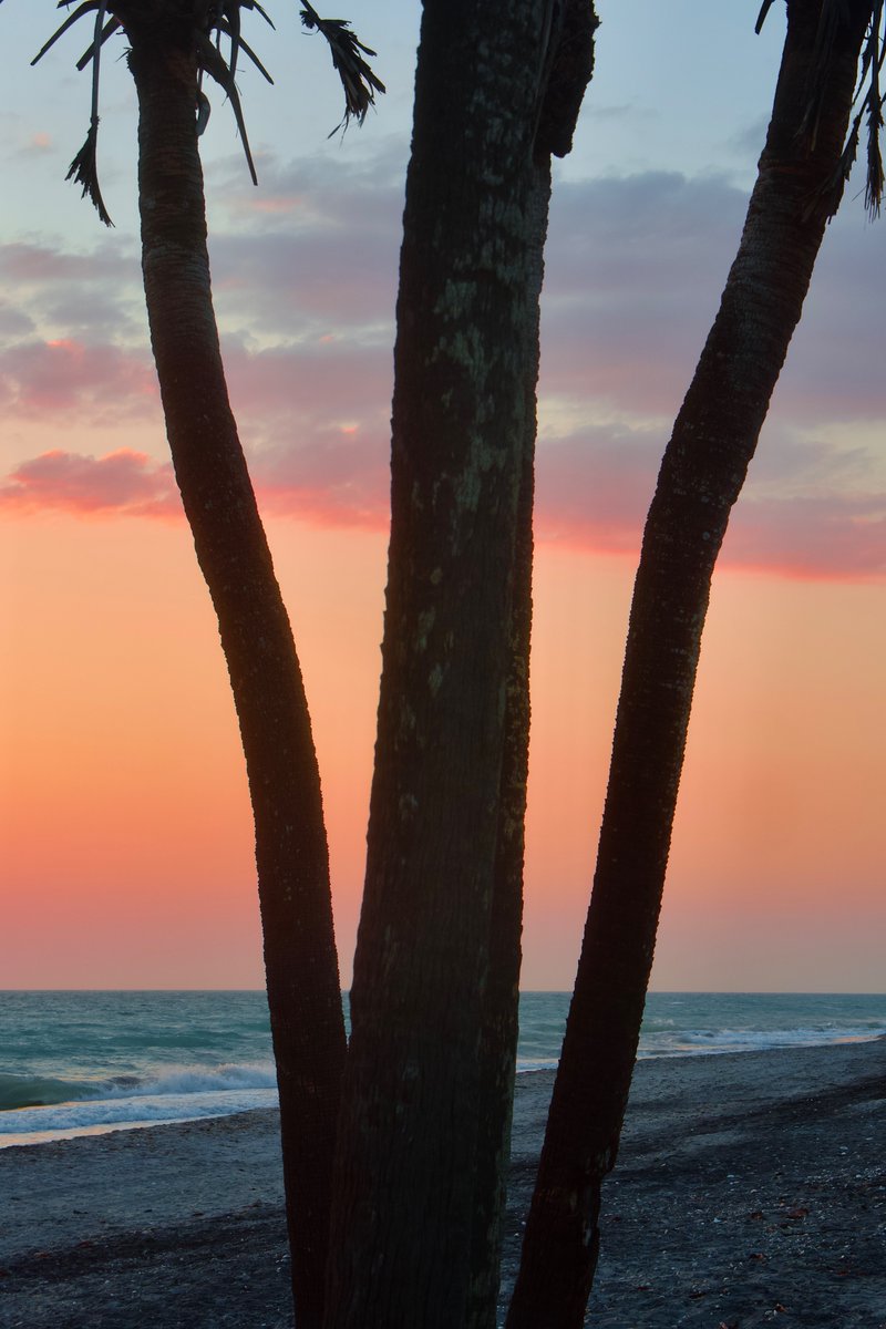 DeepGreens2's tweet image. Tropical Sorbetto...☺️🌺💕
#Sunset #BeachLife #Photography