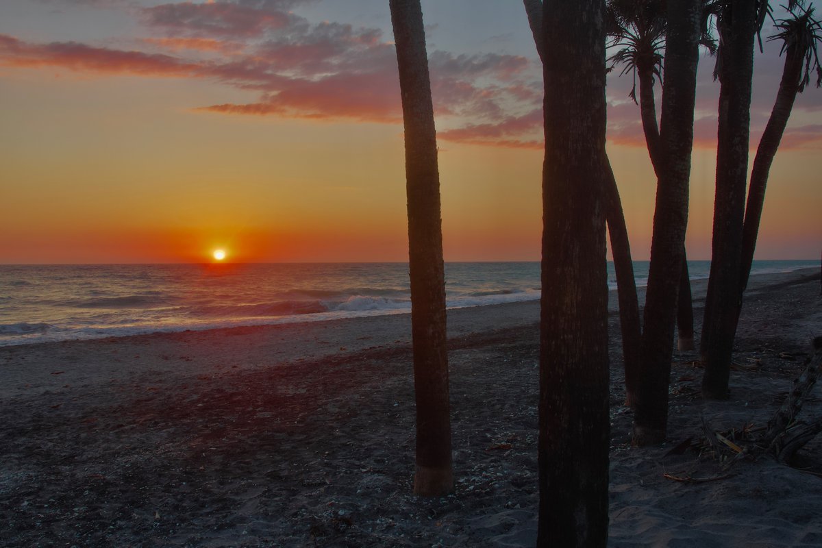 DeepGreens2's tweet image. Tropical Sorbetto...☺️🌺💕
#Sunset #BeachLife #Photography