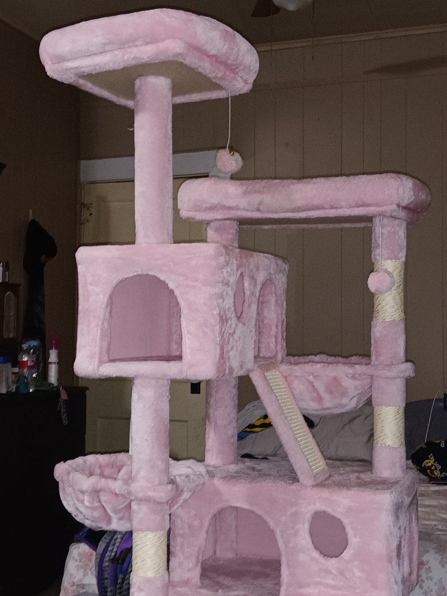 εℓℓιε tweet media