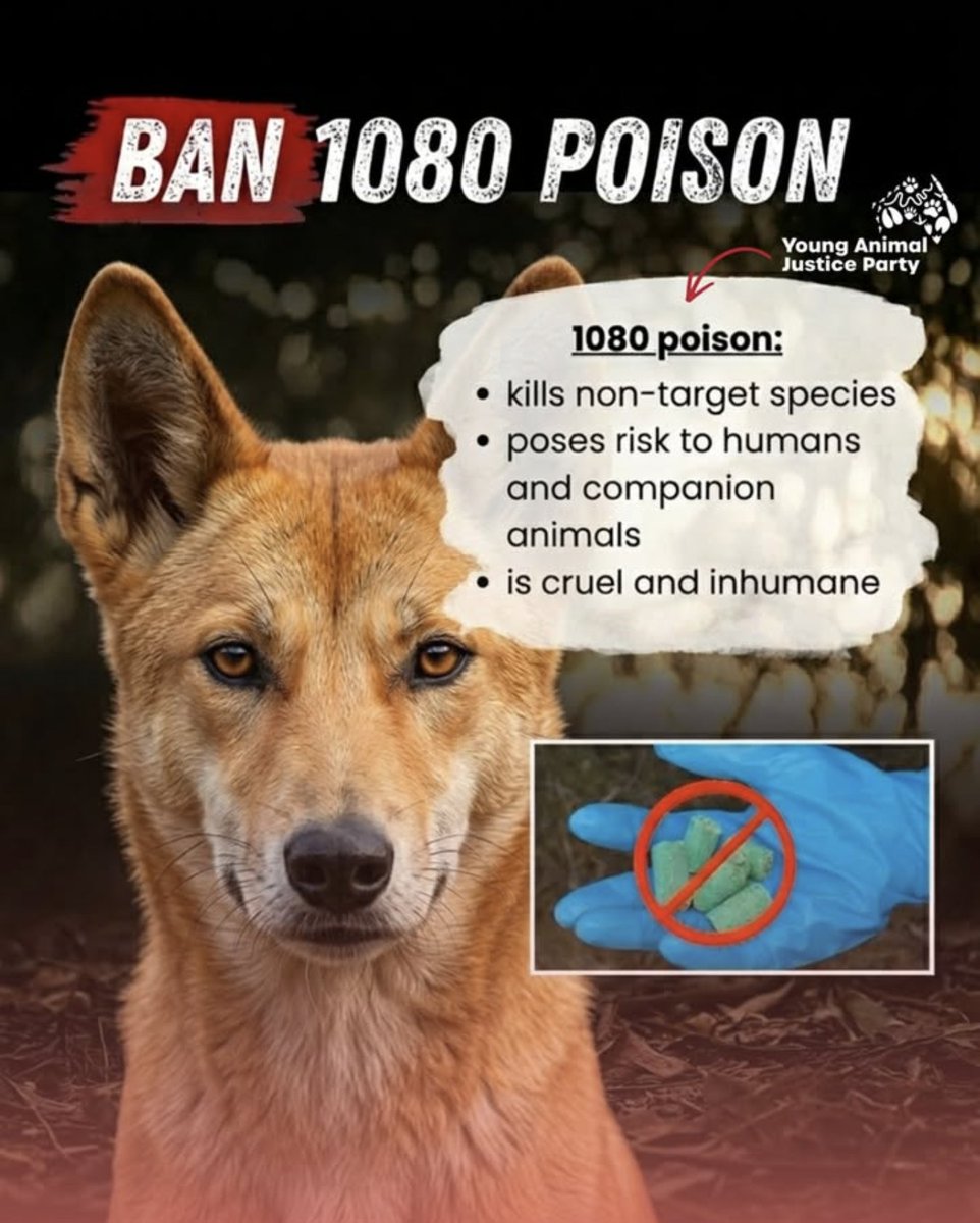 Animal Justice Party tweet media