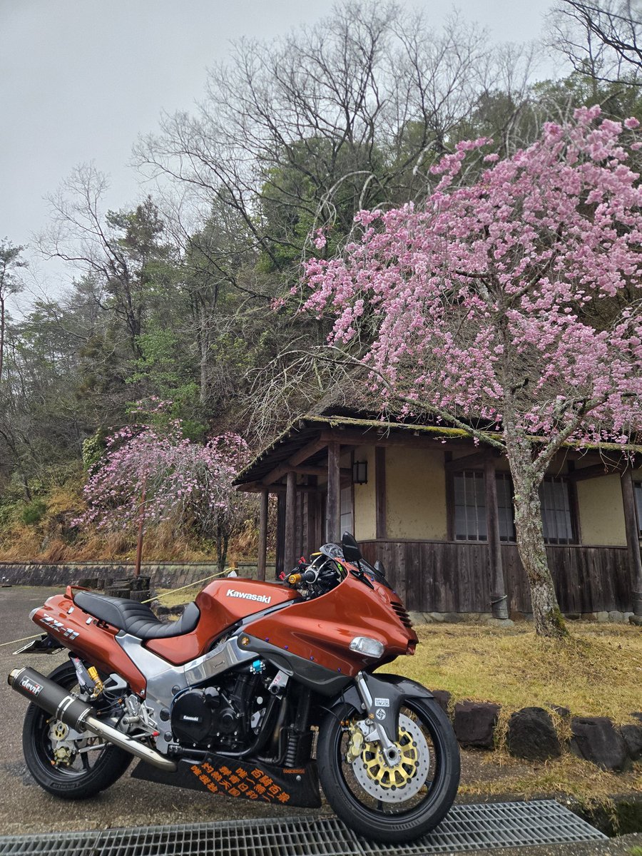 🍊くろべえ🍊 tweet media