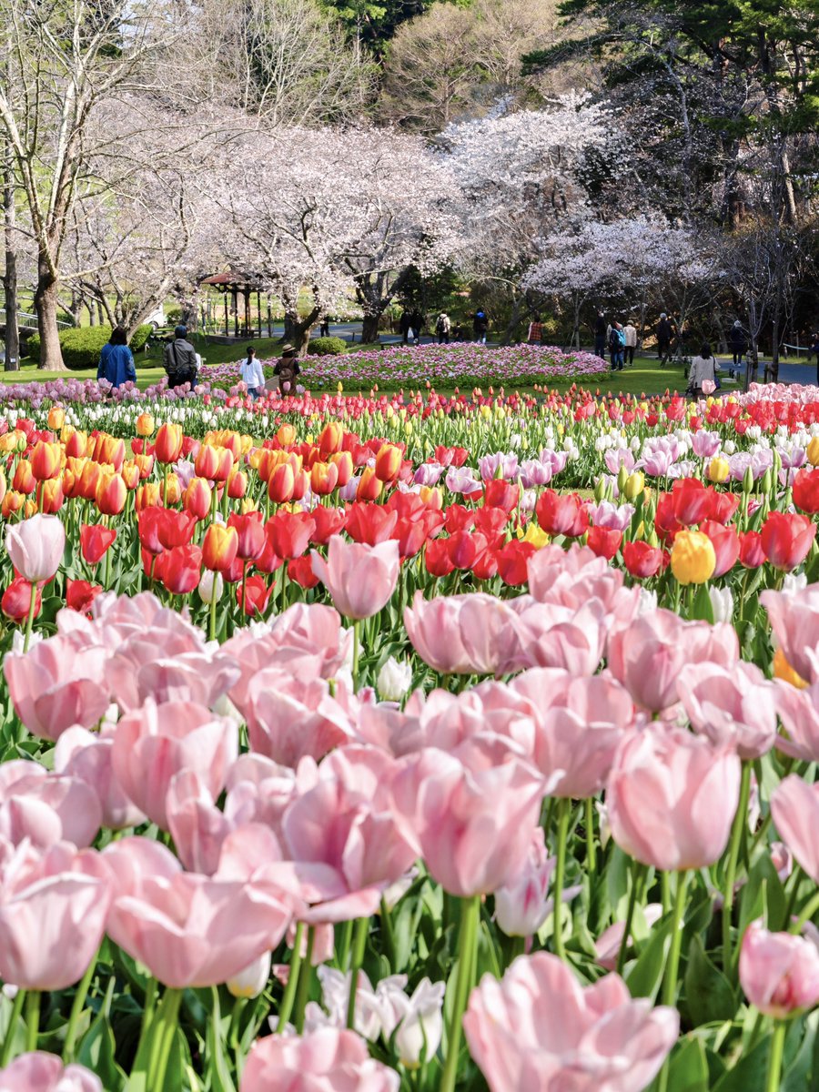 𝚋𝚒𝚛𝚍 tweet media