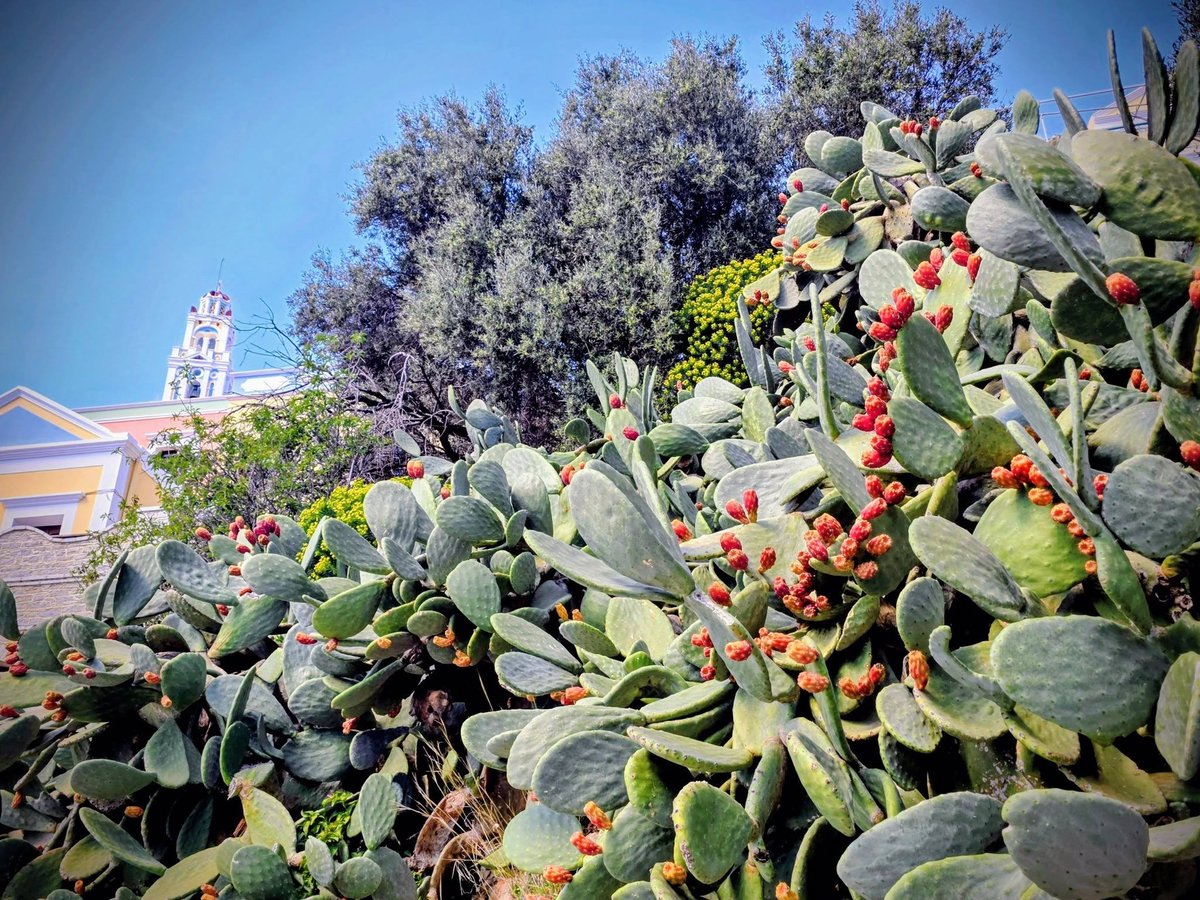 Mediterranean🌿 Best Places & Travel Tips tweet media