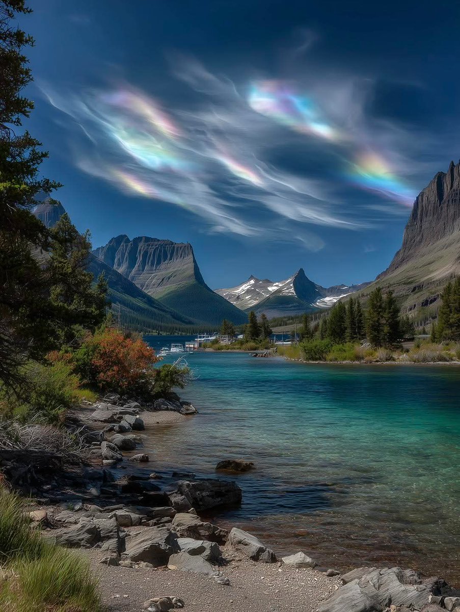 N A T U R E tweet media