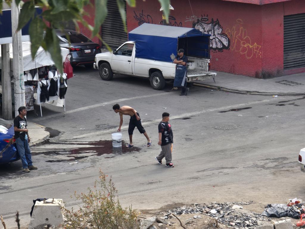 Perla del mar tweet media