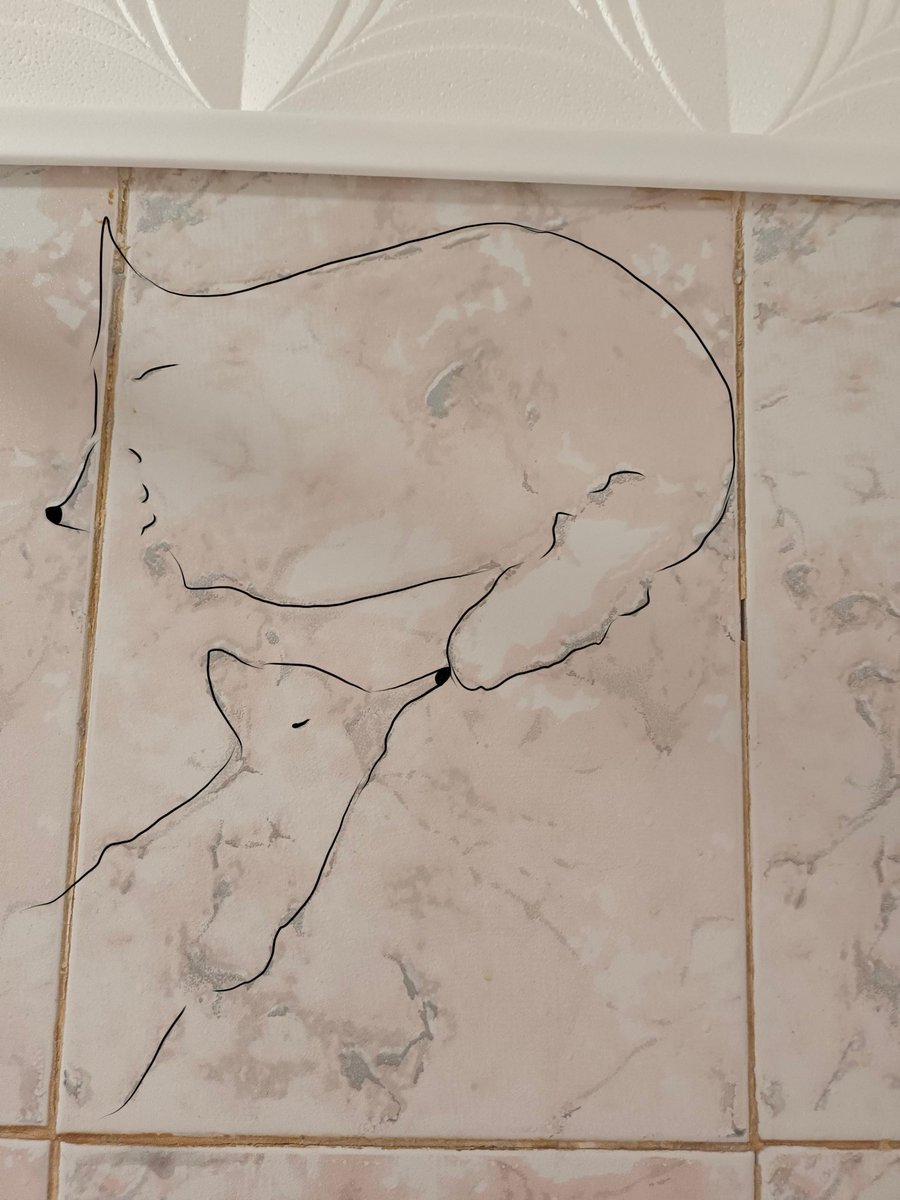 Ⱡł₵Ⱨ₦Ø₴₮ // ӾłⱤØ₥ł tweet media