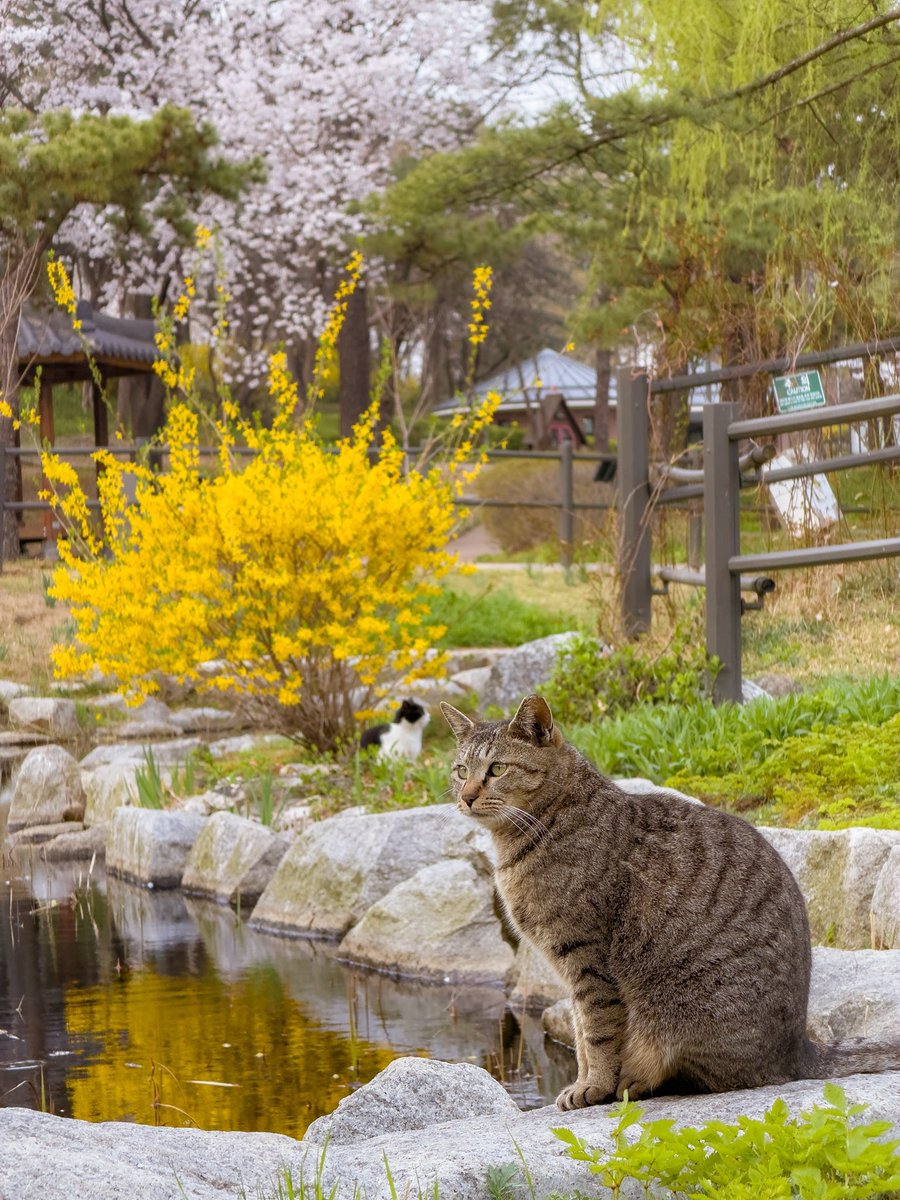 Notebook tweet media