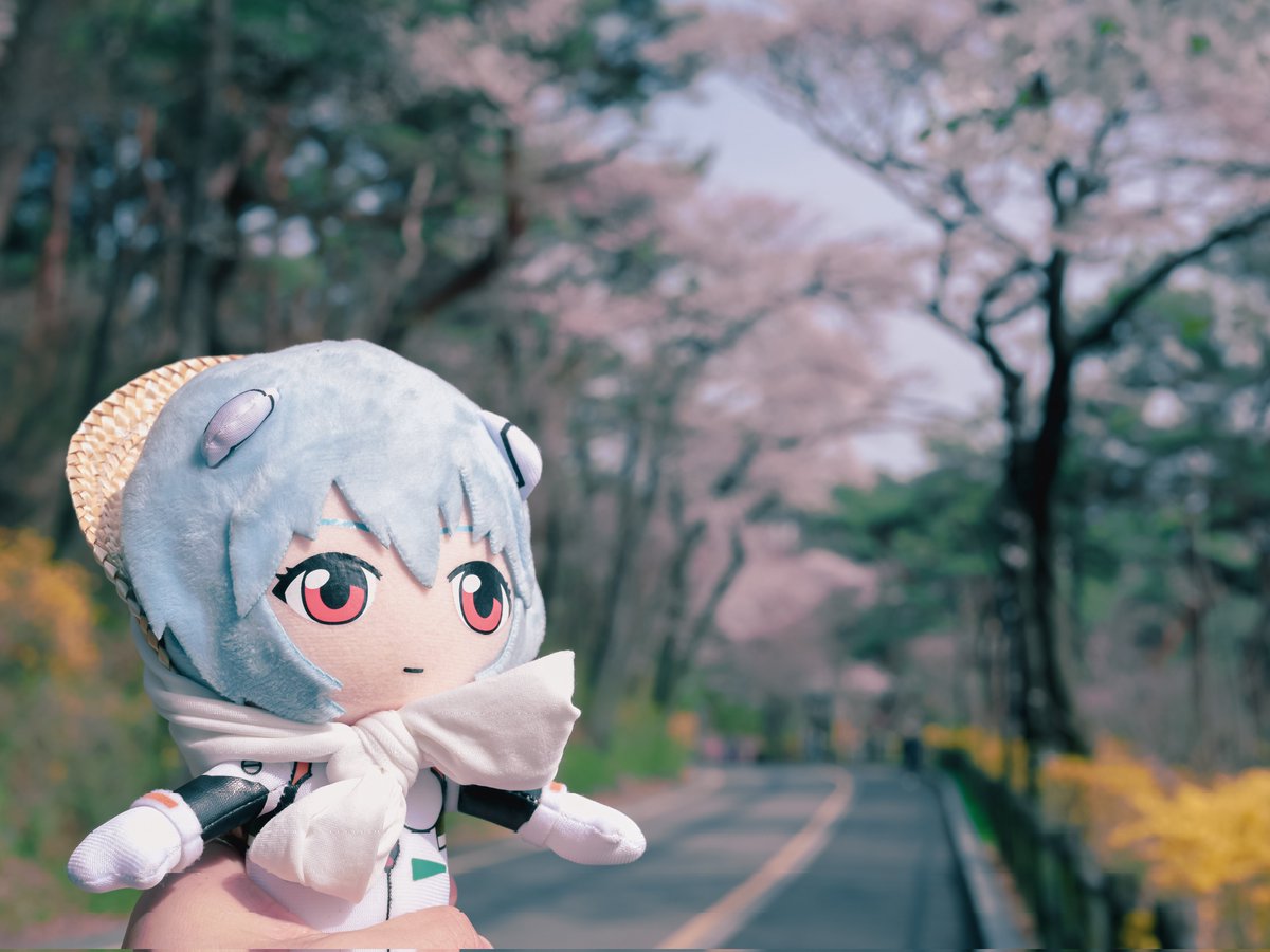 DeB 데비 tweet media