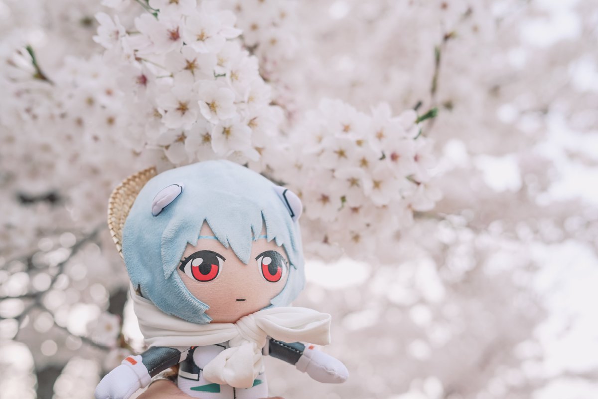 DeB 데비 tweet media