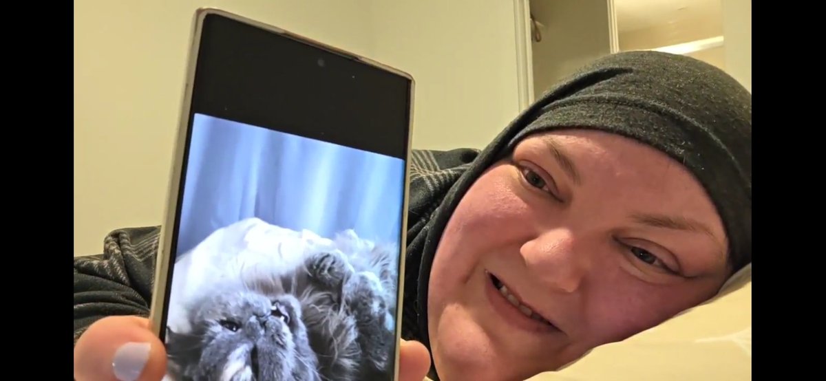 Fondue SpiteFulBisch 🧀 tweet media