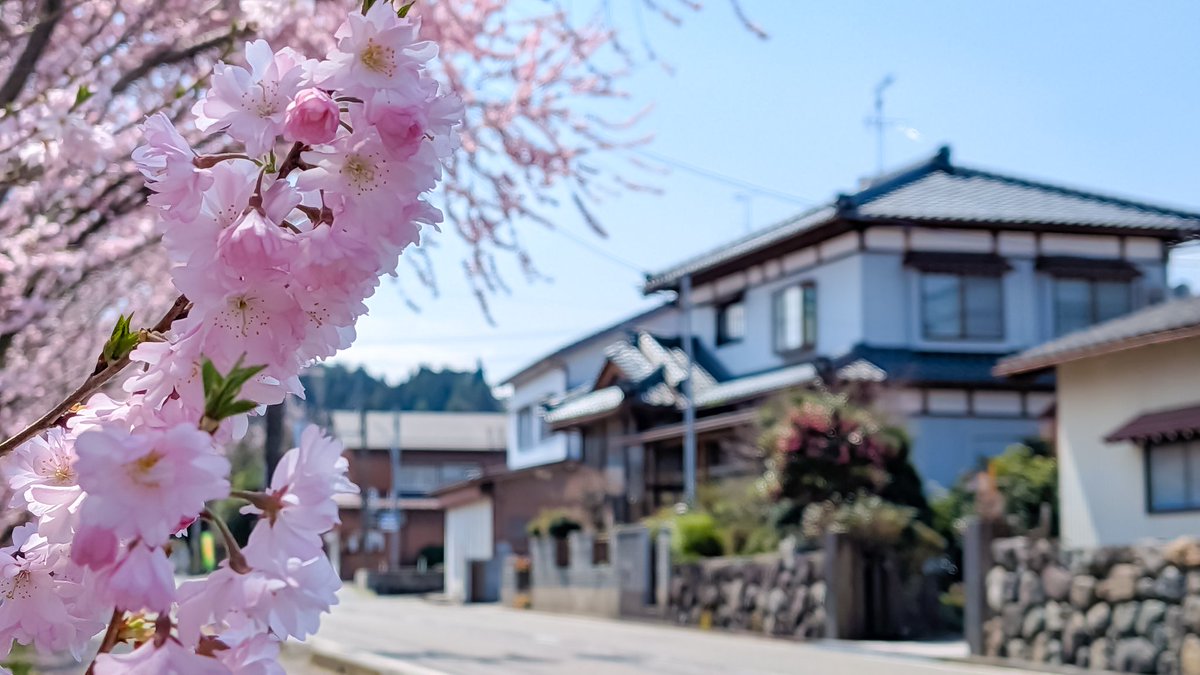 マコ@Portrait•photo/Red Bull 3 tweet media