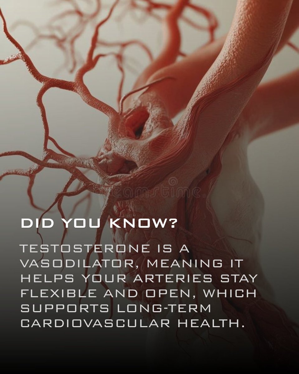 officialtrttips's tweet image. Testosterone is a vasodilator, meaning it helps your arteries stay flexible and open, which supports long-term cardiovascular health. Optimization is a heart-healthy strategy. 🫀 #HeartHealth #Cardiovascular #Longevity #MensWellness #HealthyHabits