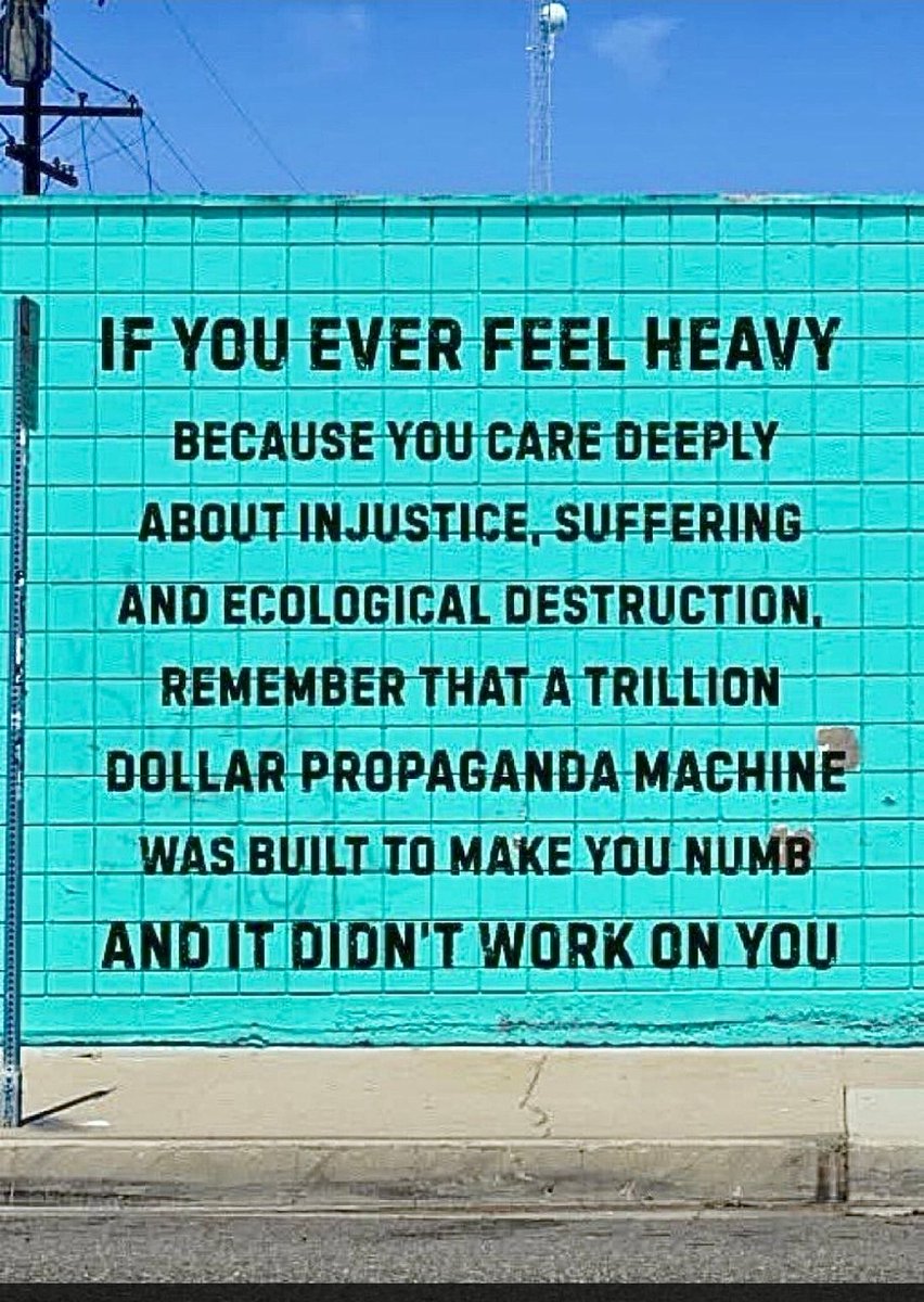 Squash6🔻 tweet media