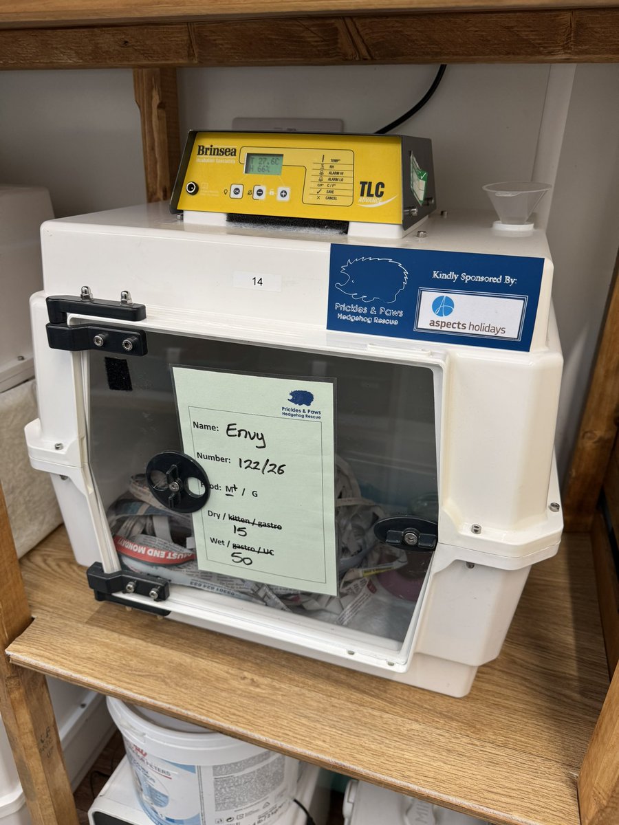 Prickles and Paws tweet media