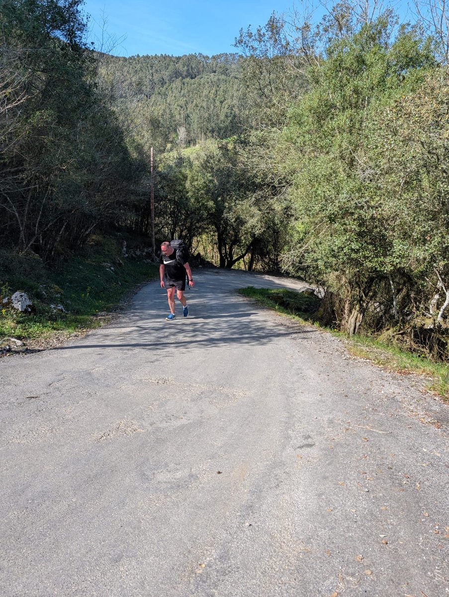 Elvington Church of England Primary School tweet media