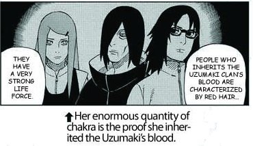 Dee v13.0 🐛 tweet media