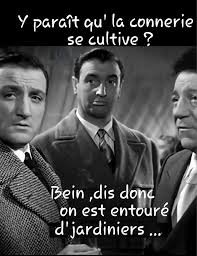 Mehdi 🇵🇸 💙 tweet media