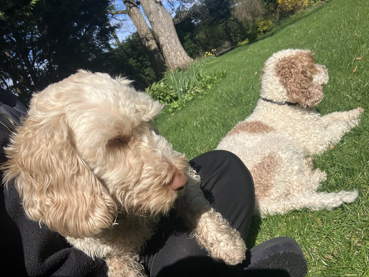 Sophie A tweet media