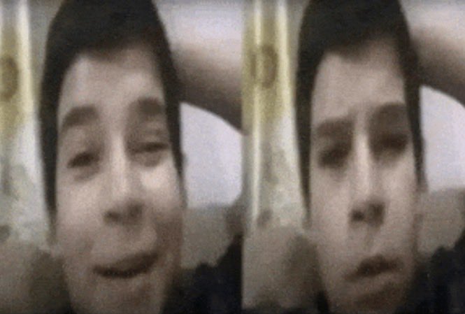 goot user tweet media