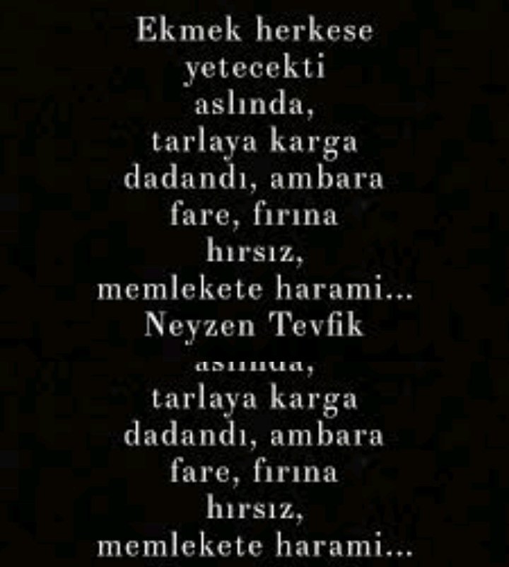 svl⭐🌙 tweet media