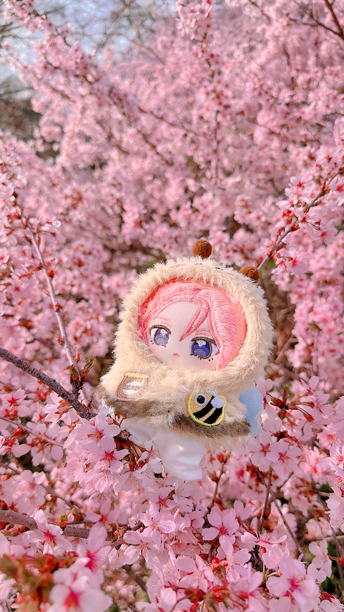 𝓈𝑒𝒶🌸 tweet media