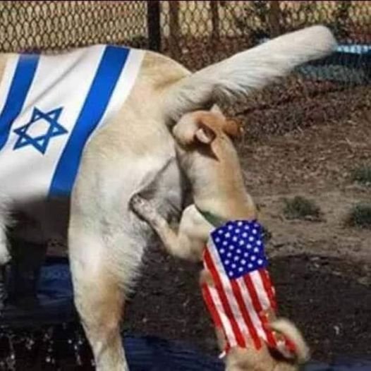 Marcin Popadiak tweet media