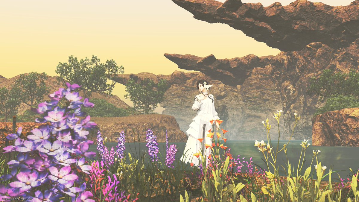 ソルジー🌙FFⅩⅣ tweet media