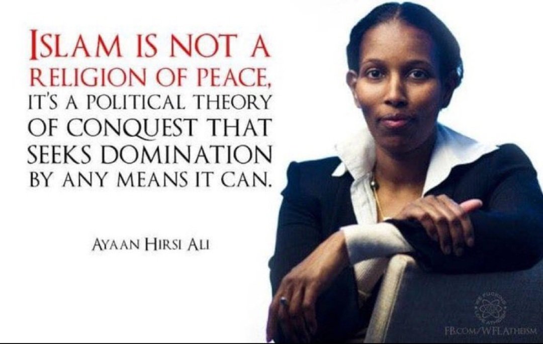 Joe 🇺🇲🇺🇲🇺🇲🇺🇲 tweet media