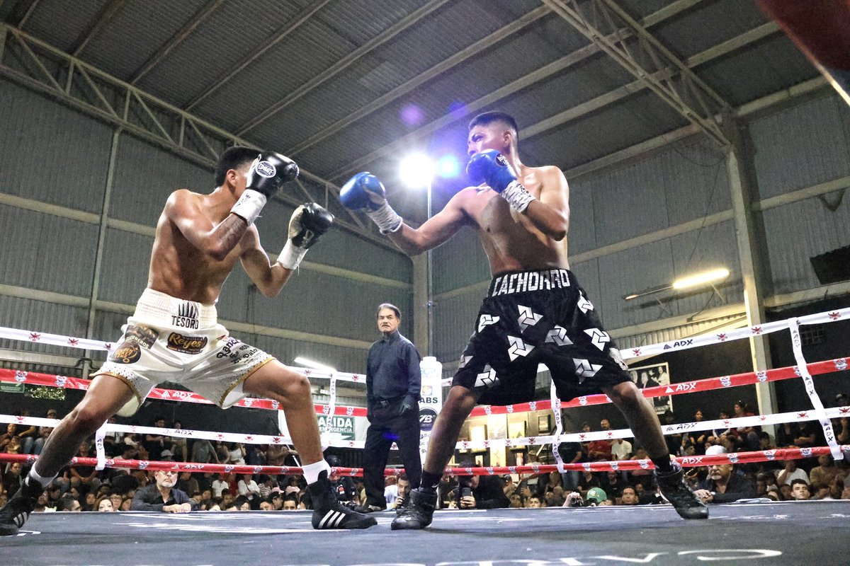MisterCocoCanal's tweet image. Arena Jalisco 🥊😎
Evento del 2026-3-28

Boxeador: Instagram.com/tesoro_rodrigu…

😎📸: Instagram.com/MisterCocoCanal 

@FoxxxesNBunnies 🦊&amp;amp;🐰 #Boxeadores 
#BoxeoMexicano #BoxeoProfesional
#Boxeando #Boxeo #ArenaJalisco 
#MisterCocoCanal #FoxxxesNBunnies