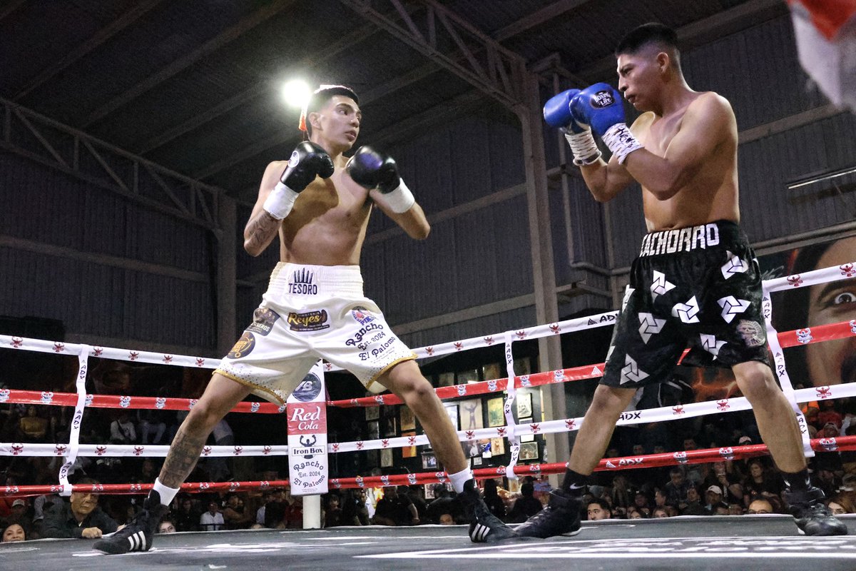 MisterCocoCanal's tweet image. Arena Jalisco 🥊😎
Evento del 2026-3-28

Boxeador: Instagram.com/tesoro_rodrigu…

😎📸: Instagram.com/MisterCocoCanal 

@FoxxxesNBunnies 🦊&amp;amp;🐰 #Boxeadores 
#BoxeoMexicano #BoxeoProfesional
#Boxeando #Boxeo #ArenaJalisco 
#MisterCocoCanal #FoxxxesNBunnies