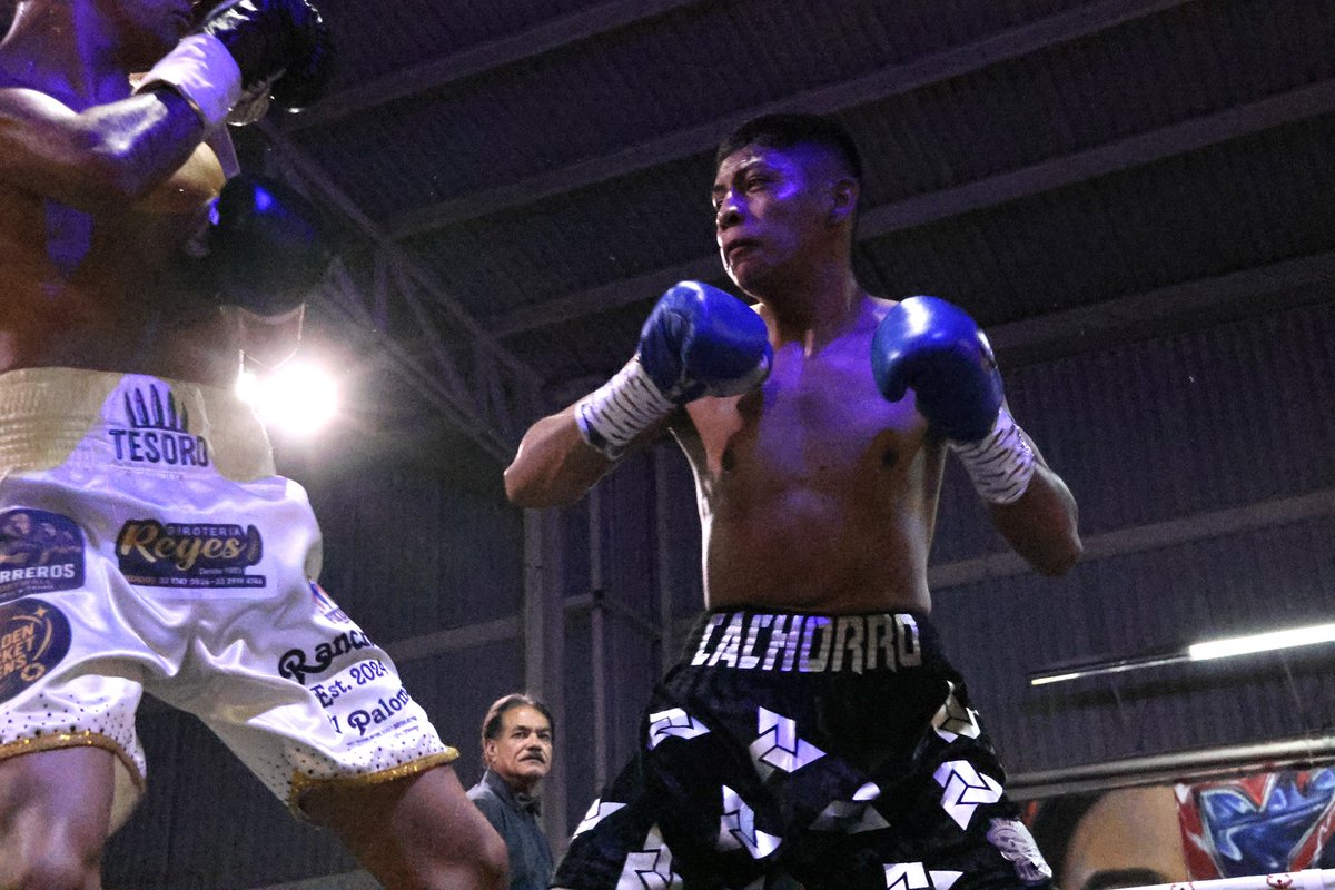 MisterCocoCanal's tweet image. Arena Jalisco 🥊😎
Evento del 2026-3-28

Boxeador: Instagram.com/tesoro_rodrigu…

😎📸: Instagram.com/MisterCocoCanal 

@FoxxxesNBunnies 🦊&amp;amp;🐰 #Boxeadores 
#BoxeoMexicano #BoxeoProfesional
#Boxeando #Boxeo #ArenaJalisco 
#MisterCocoCanal #FoxxxesNBunnies