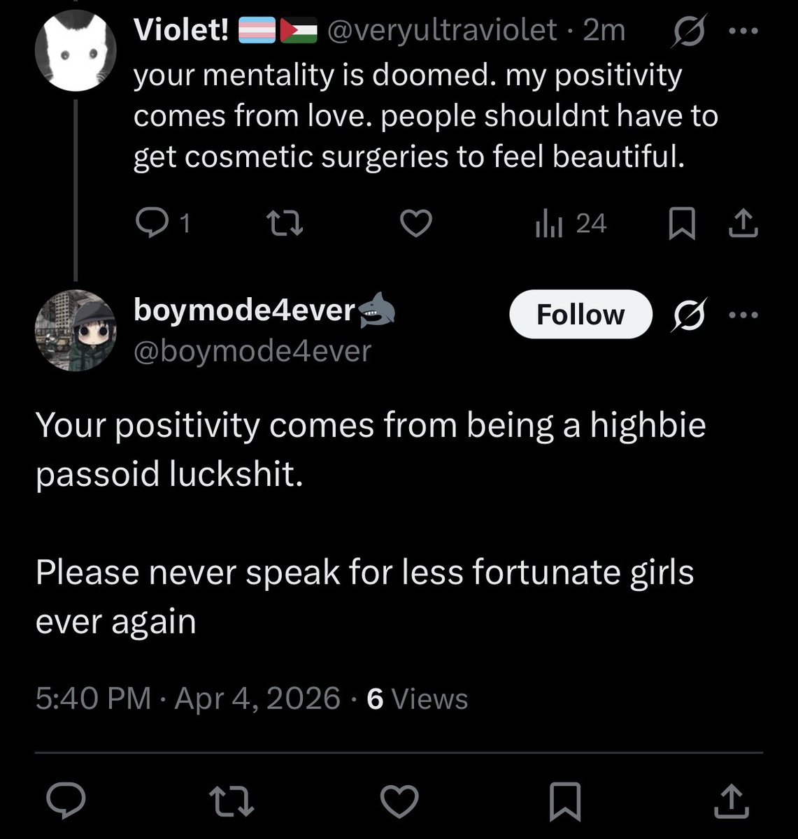 Violet! 🏳️‍⚧️🇵🇸 tweet media