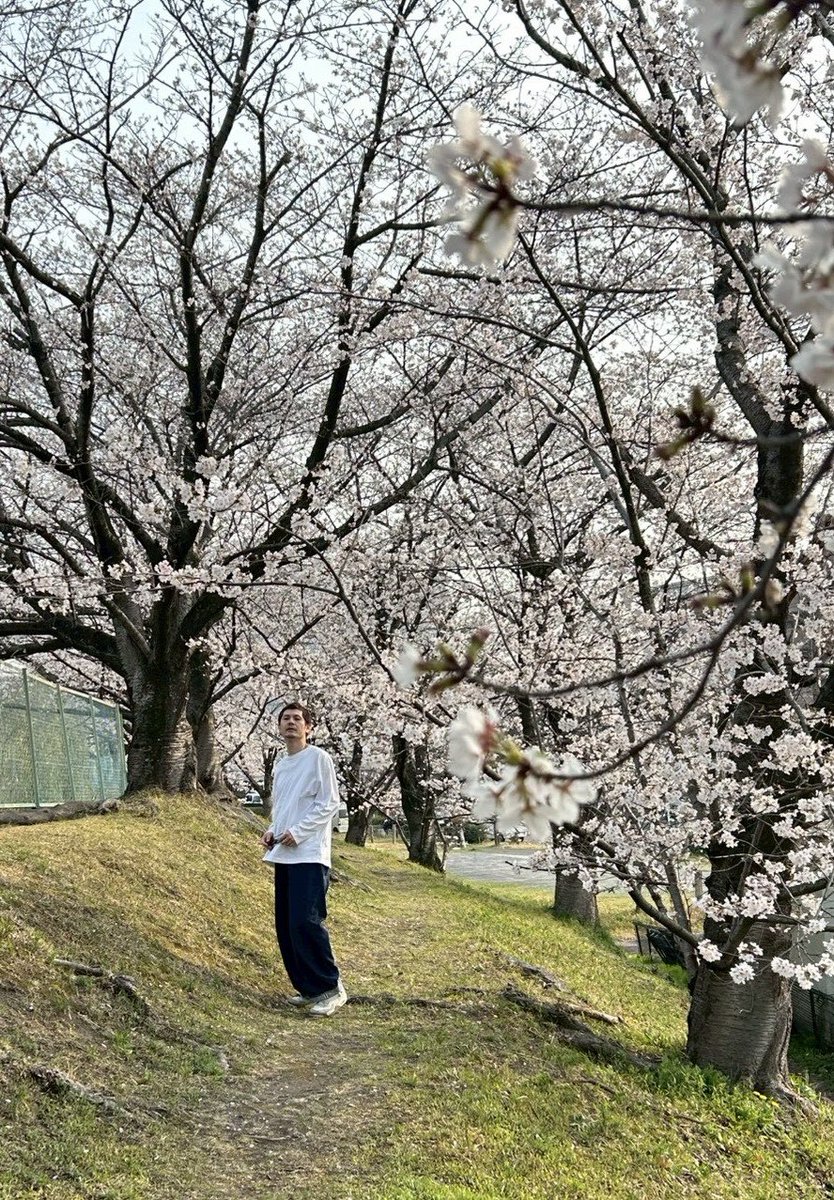 宮田 せいじ tweet media