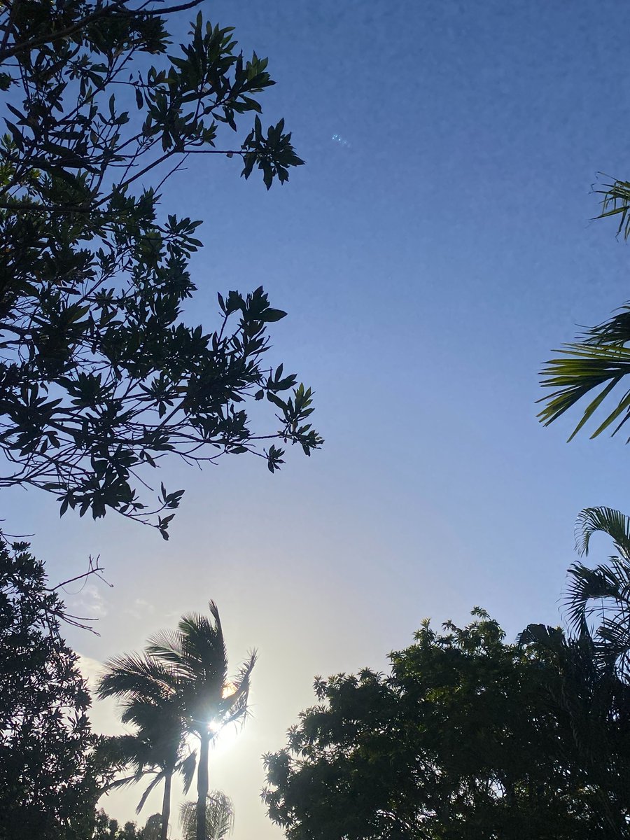 JEANENE HYLES tweet media