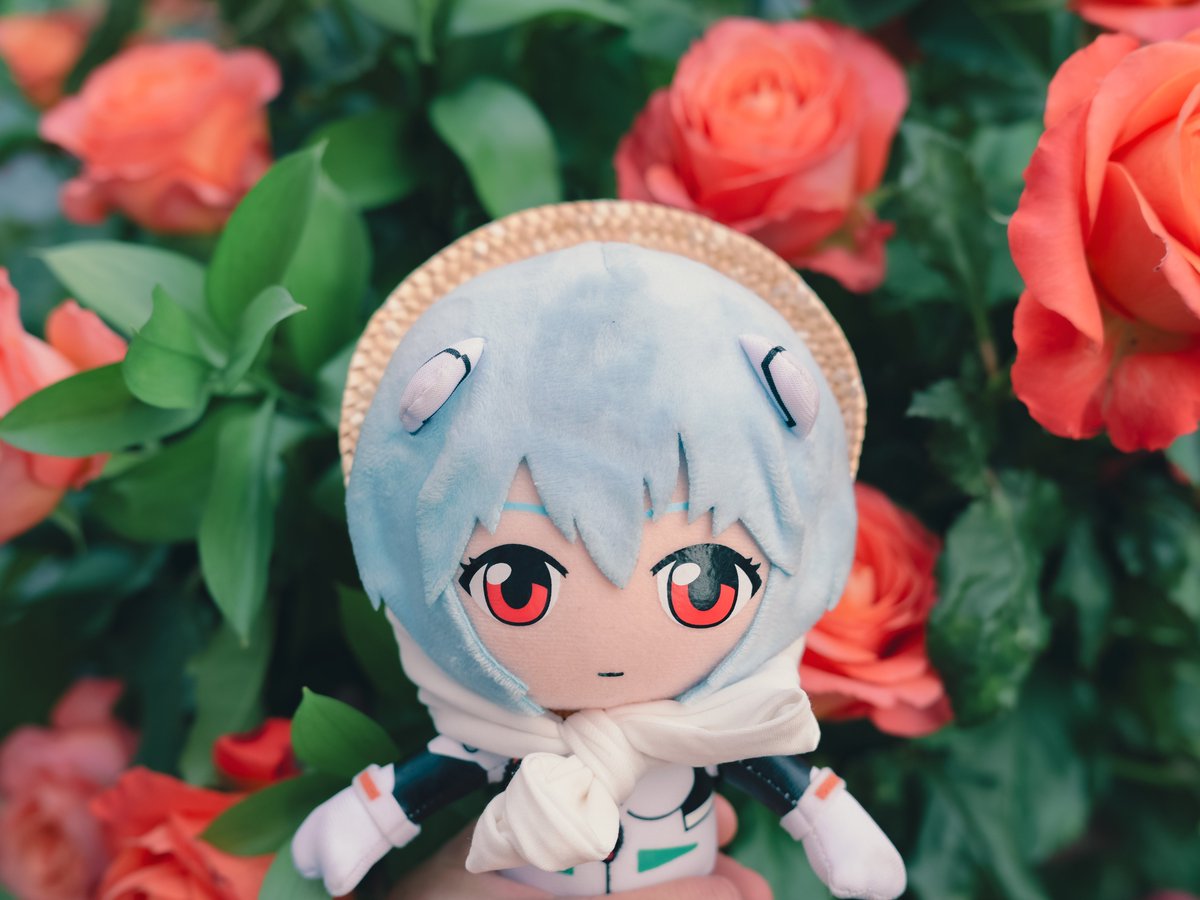 DeB 데비 tweet media