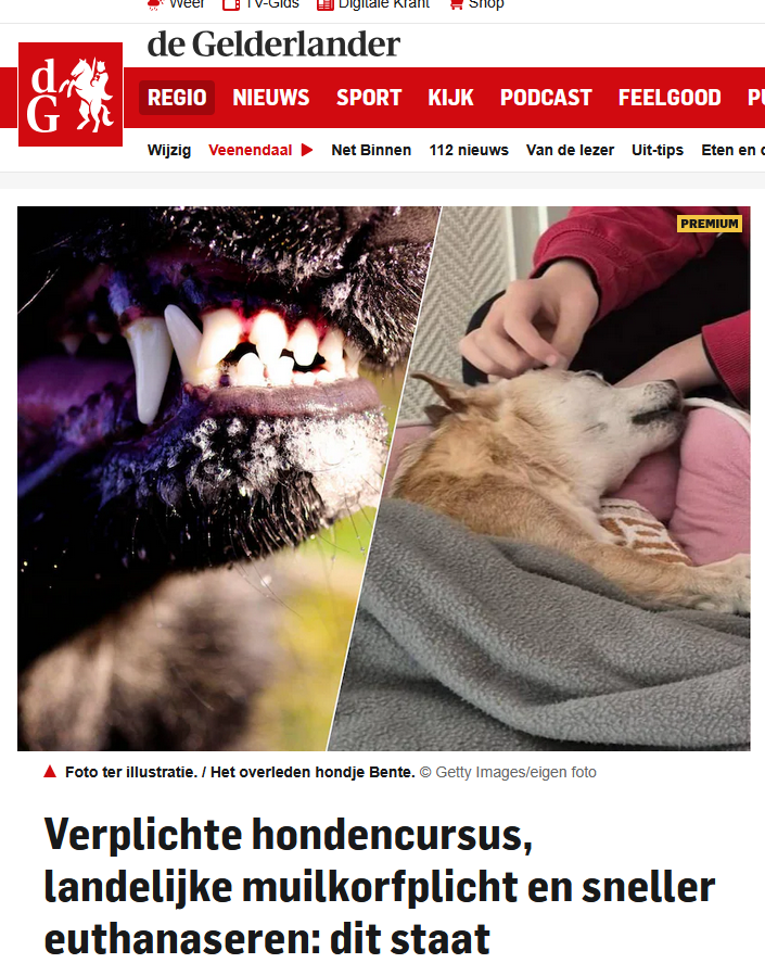 𝒮𝒶𝓃𝓃𝑜🌪 tweet media