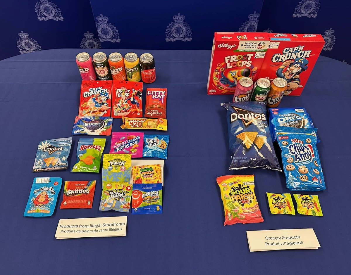 Tim Houston tweet media