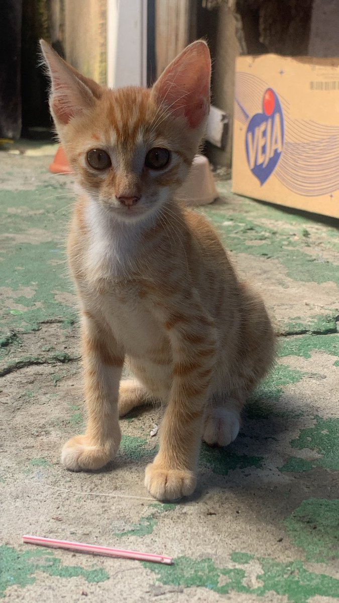 𝙿𝚊𝚝𝚛𝚘𝚗𝚘 📿 tweet media