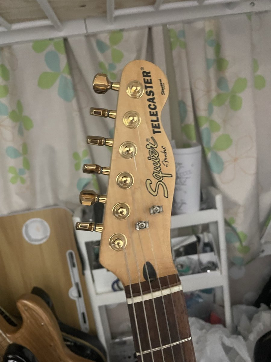 アキラノアリカ Akira(ターギーでスーベー)🐈 tweet media