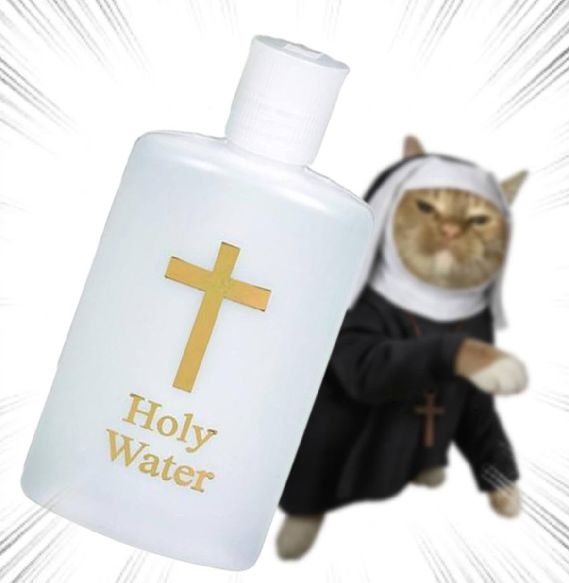 Зорра Виталя tweet media