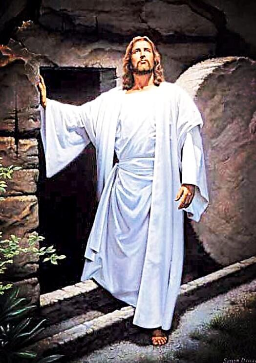 OVC16. Geef nooit op. PVV stemmer tweet media