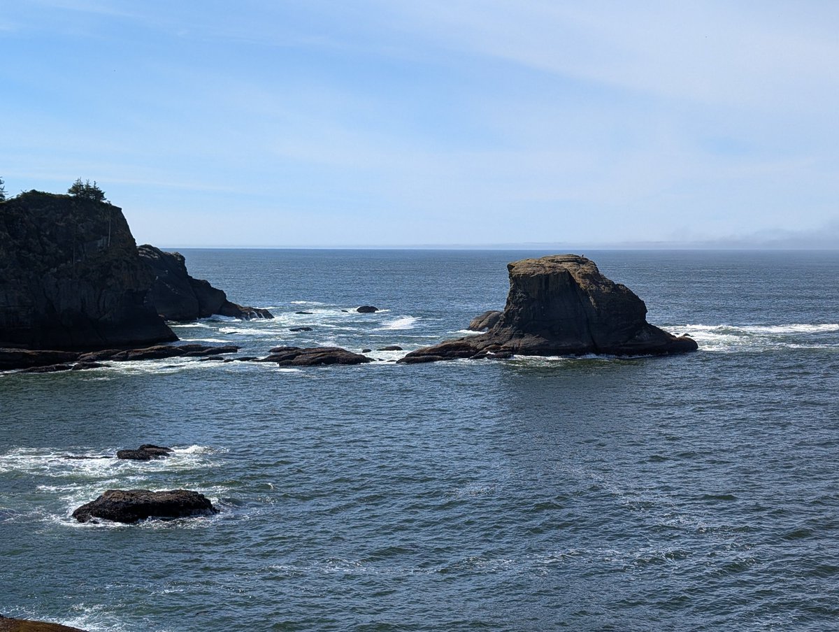 Boblobaw tweet media