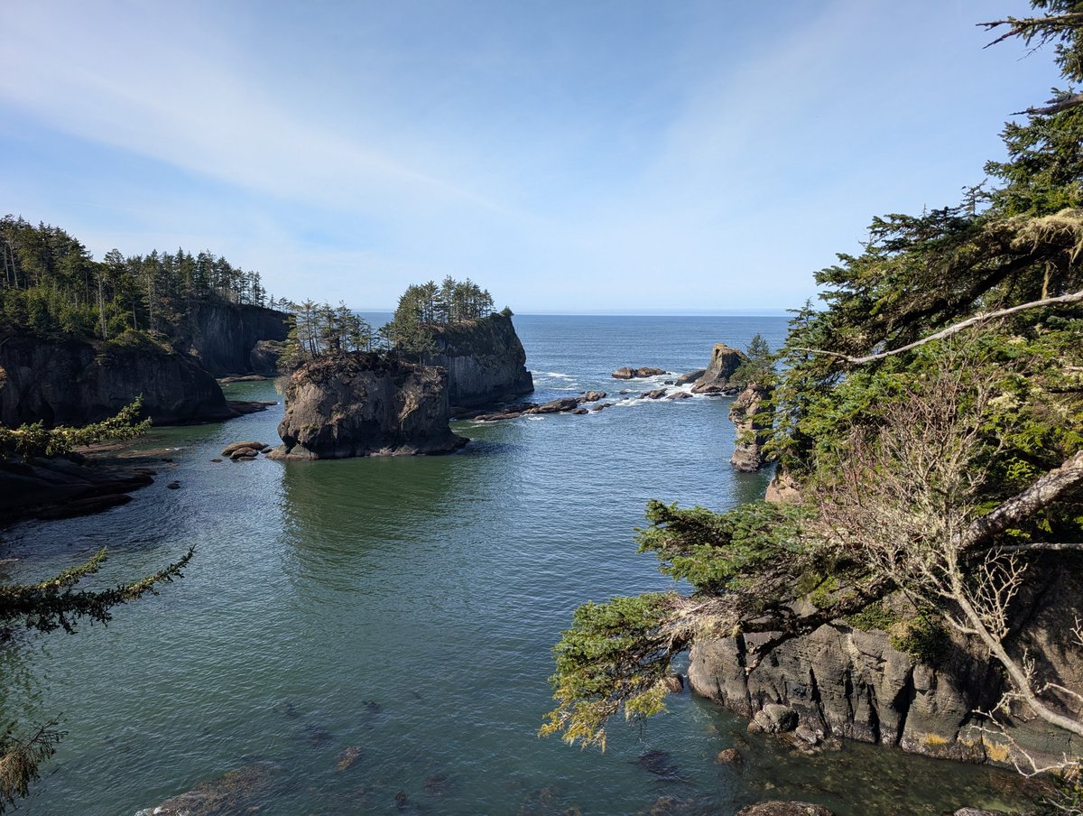 Boblobaw tweet media