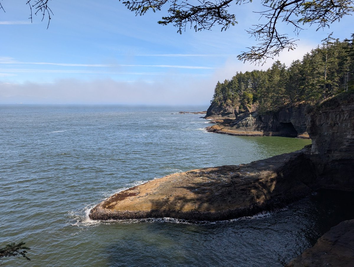 Boblobaw tweet media