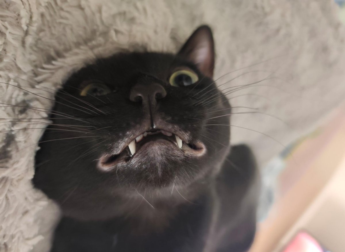 SOOB UWU tweet media